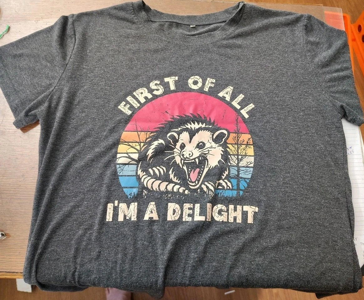 First Of All I'm A Delight Opossum Graphic T-Shirt Charcoal.Gray L Possum Tee