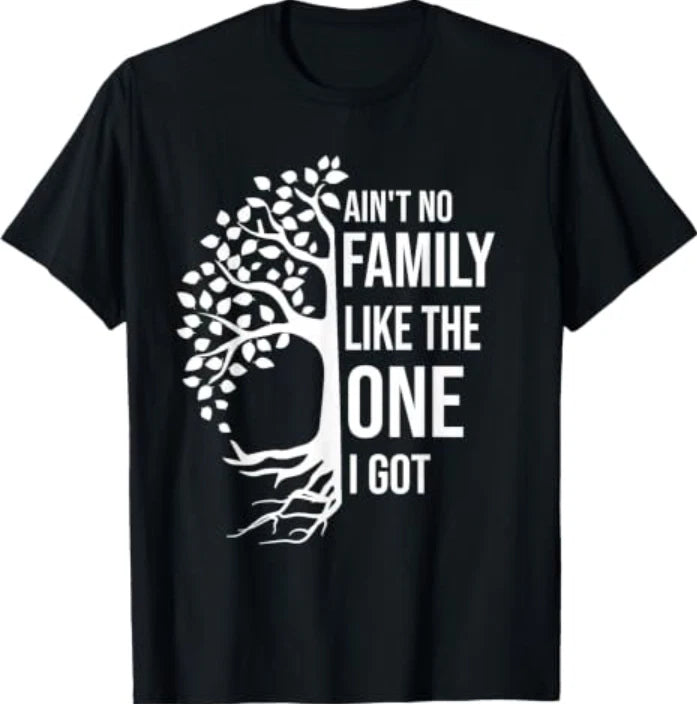 Ain't No Family Like The One I Got Funny Family Reunion 2025 T-Shirt Tee