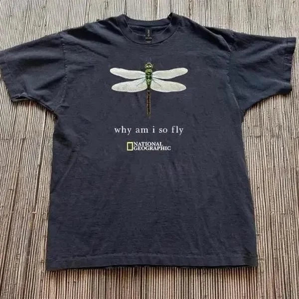 Dragonfly Why Am I So Fly Y2K Grunge Vintage Unisex Graphic Streetwear Tee