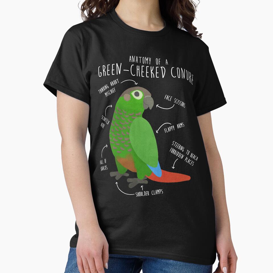 Green Cheek Conure Anatomy by Clara Hollins
