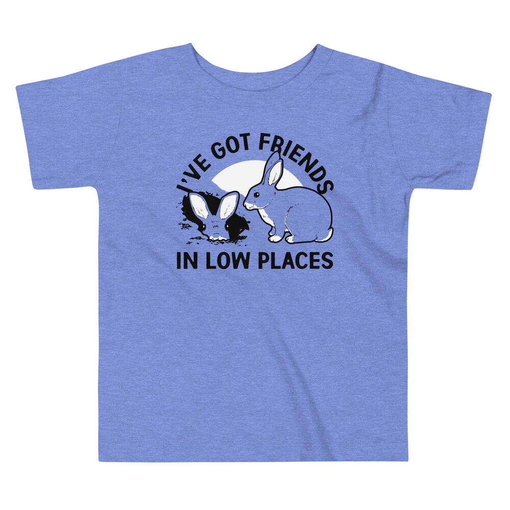 I've Got Friends In Low Places Kid's Toddler Tee Hoodie, Sweatshirt | PureTeeCo.com (Image 1)