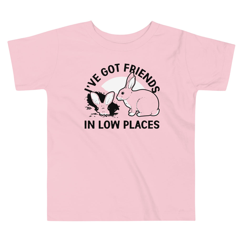 I've Got Friends In Low Places Kid's Toddler Tee Hoodie, Sweatshirt | PureTeeCo.com (Image 2)