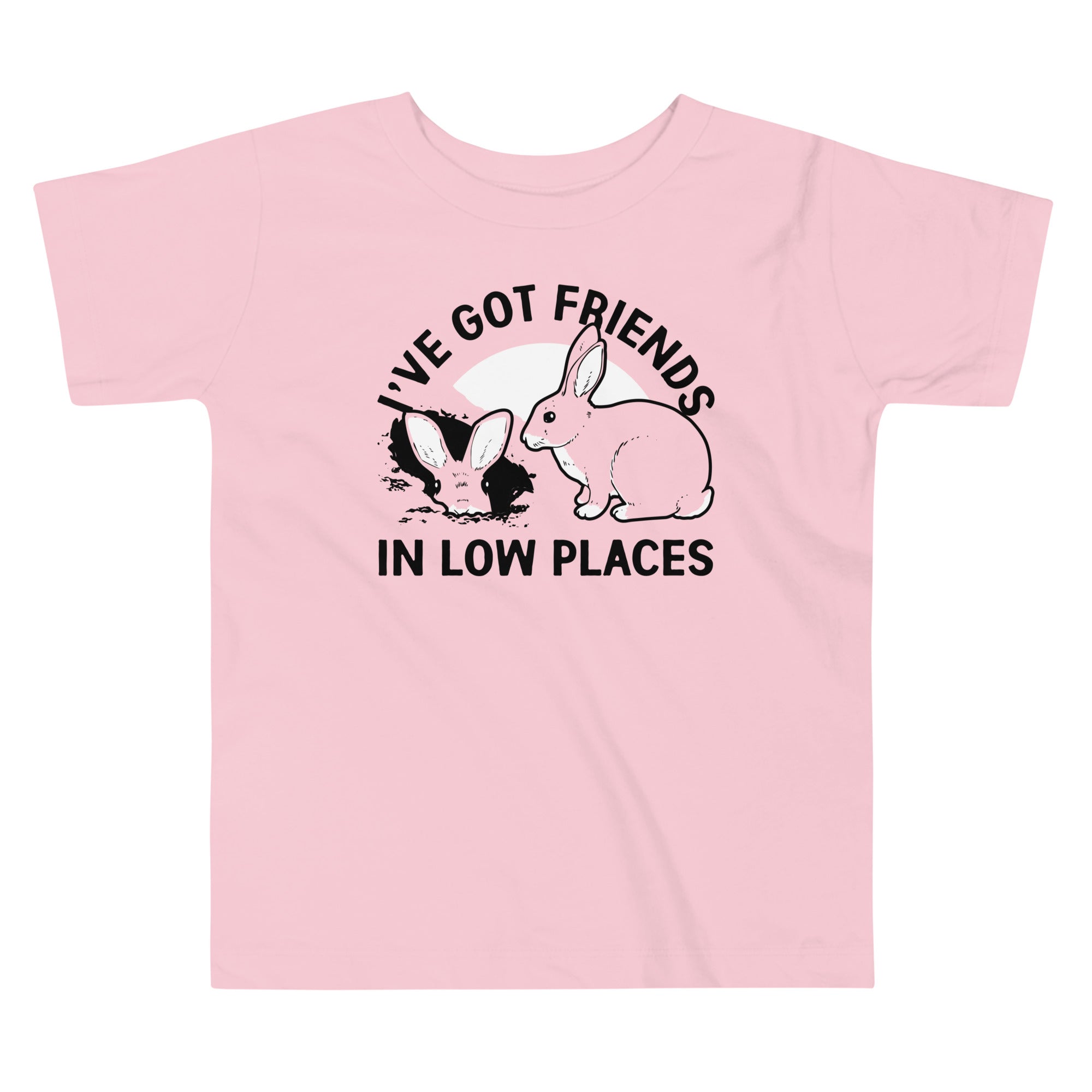 I've Got Friends In Low Places Kid's Toddler Tee Hoodie, Sweatshirt | PureTeeCo.com (Image 2)