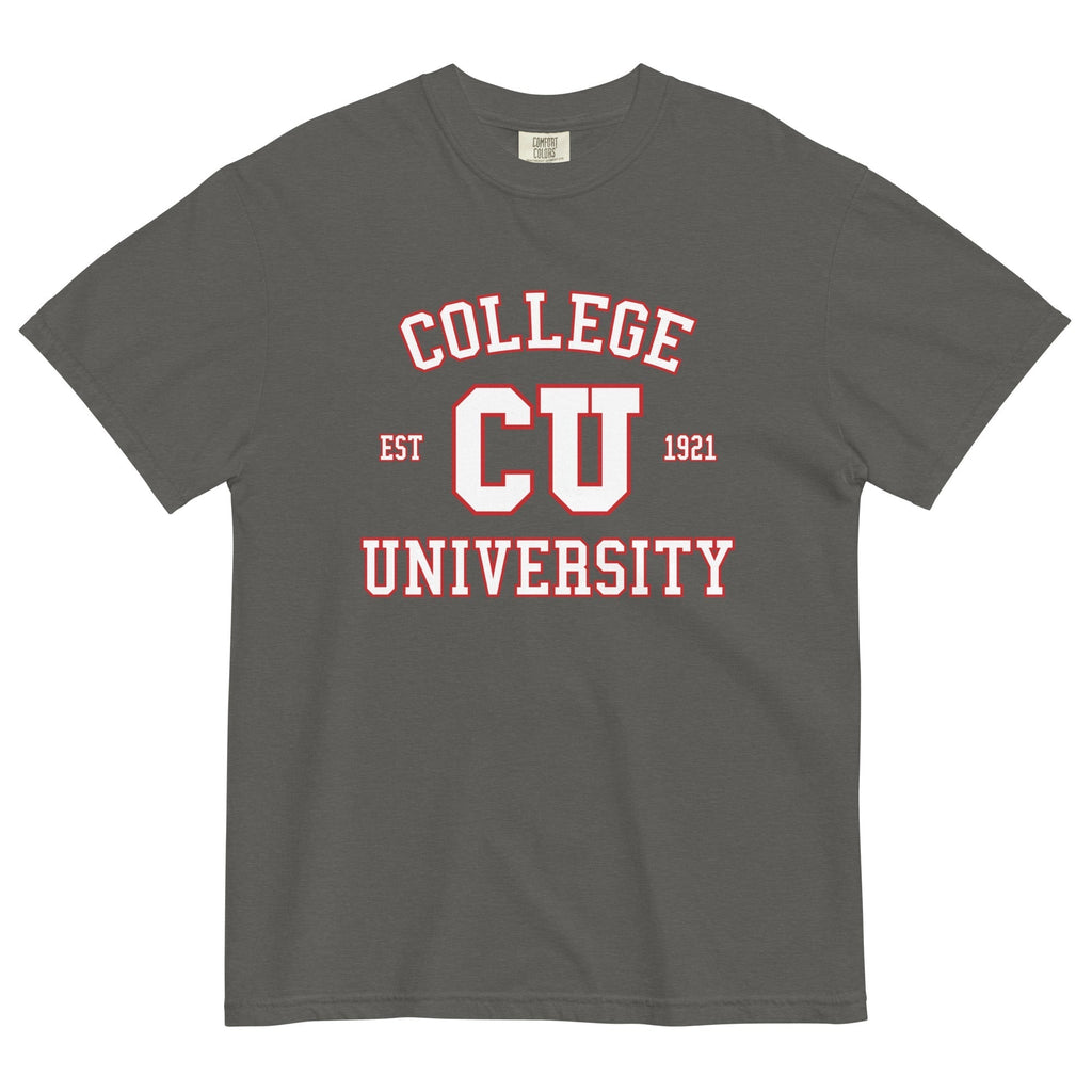 College University Men's Relaxed Fit Tee Hoodie, Sweatshirt | PureTeeCo.com (Image 3)