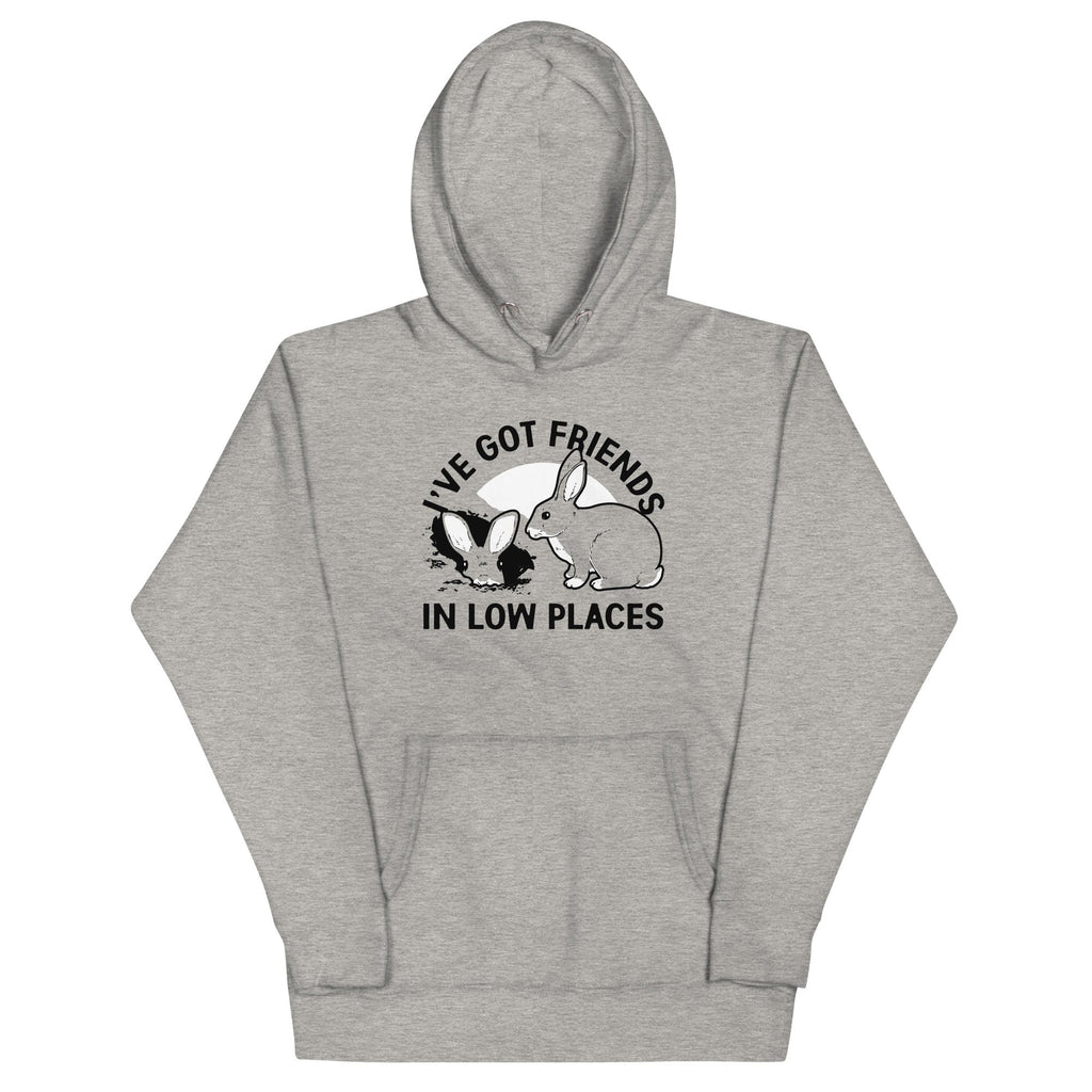 I've Got Friends In Low Places Unisex Hoodie T-Shirts, Sweatshirt | PureTeeCo.com (Image 1)
