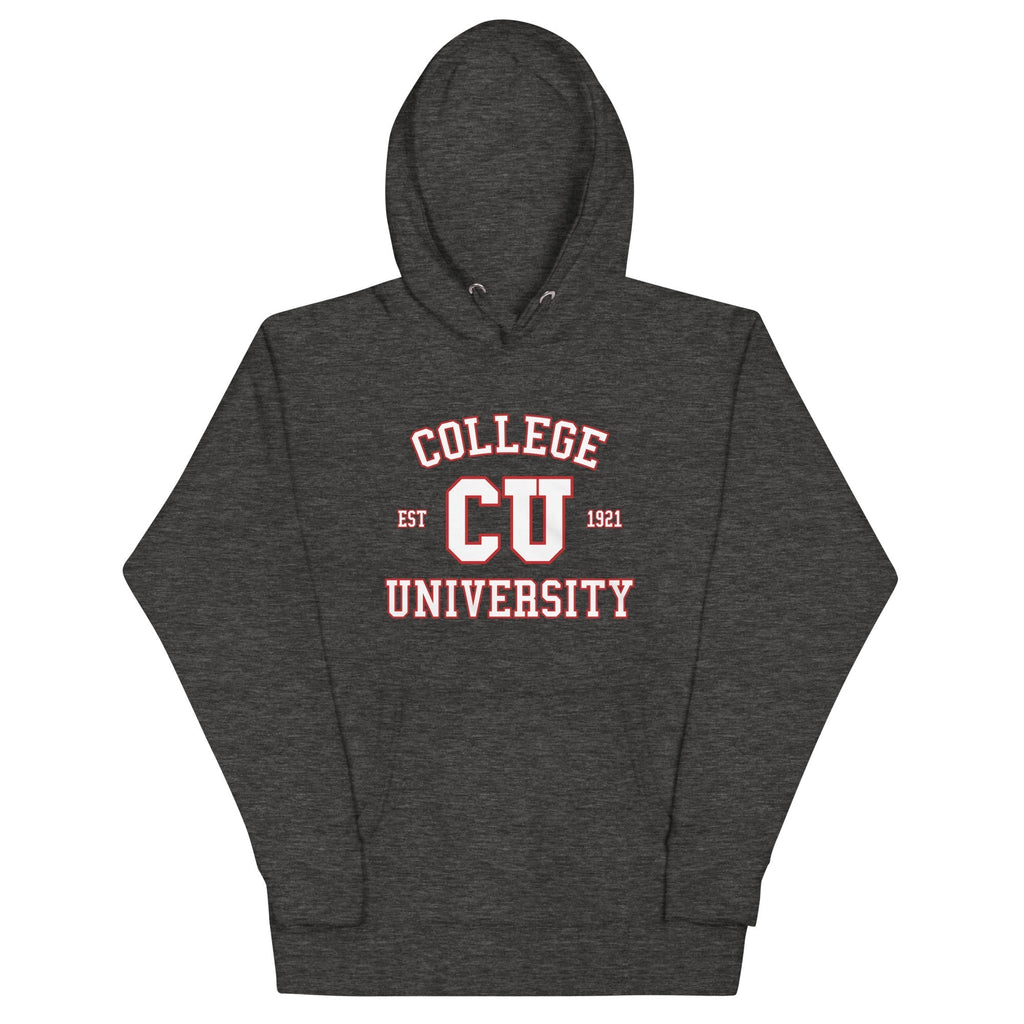 College University Unisex Hoodie T-Shirts, Sweatshirt | PureTeeCo.com (Image 3)