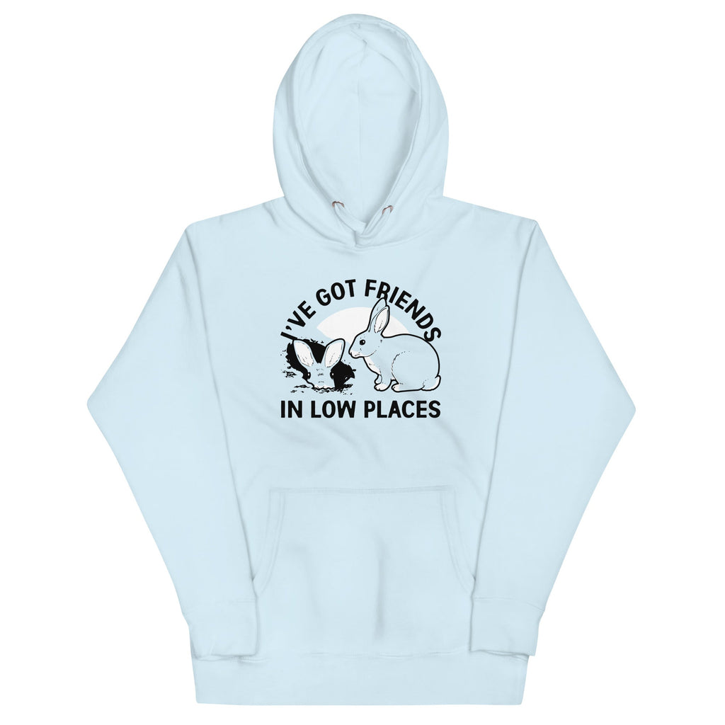 I've Got Friends In Low Places Unisex Hoodie T-Shirts, Sweatshirt | PureTeeCo.com (Image 3)