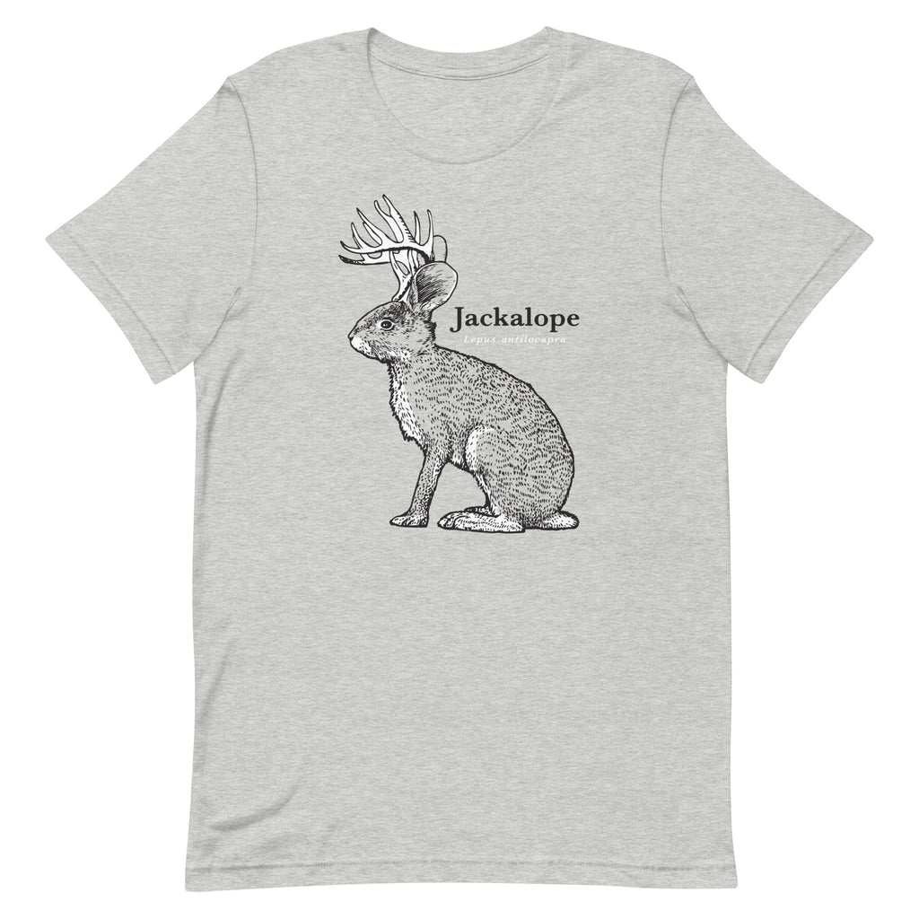 Jackalope Men's Signature Tee Hoodie, Sweatshirt | PureTeeCo.com (Image 1)