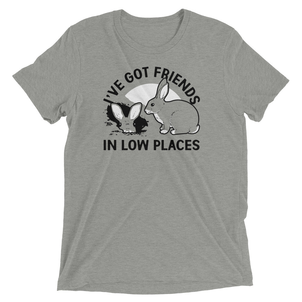 I've Got Friends In Low Places Men's Tri-Blend Tee Hoodie, Sweatshirt | PureTeeCo.com (Image 1)