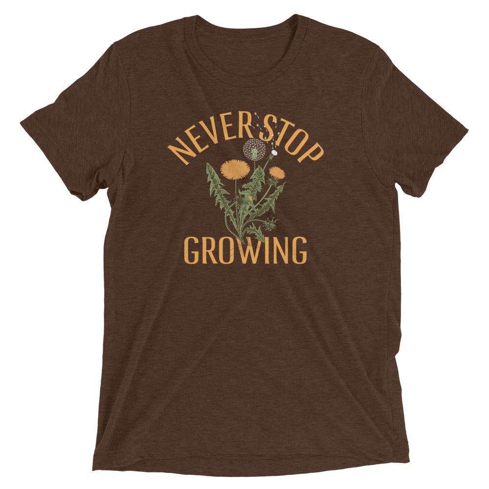 Never Stop Growing Men's Tri-Blend Tee Hoodie, Sweatshirt | PureTeeCo.com (Image 2)
