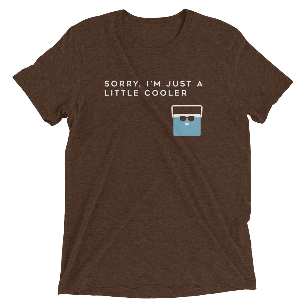 Sorry, I'm Just A Little Cooler Men's Tri-Blend Tee Hoodie, Sweatshirt | PureTeeCo.com (Image 2)