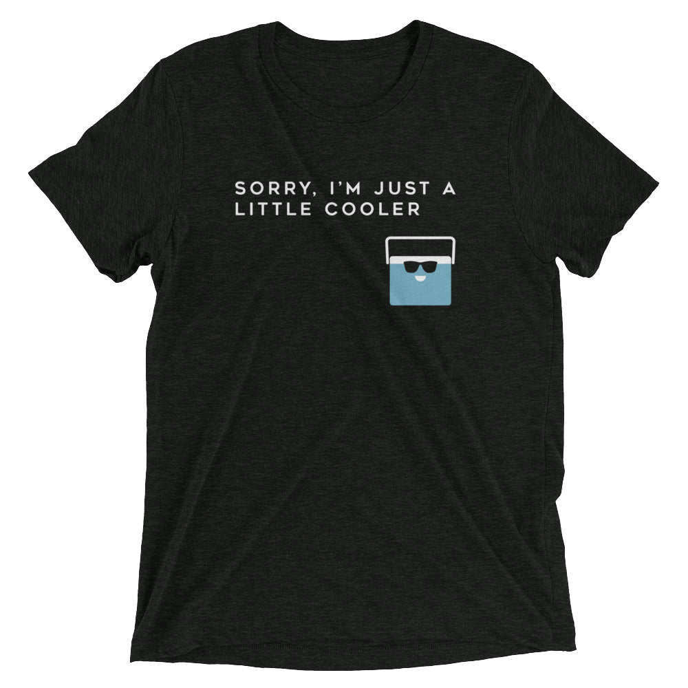 Sorry, I'm Just A Little Cooler Men's Tri-Blend Tee Hoodie, Sweatshirt | PureTeeCo.com (Image 1)