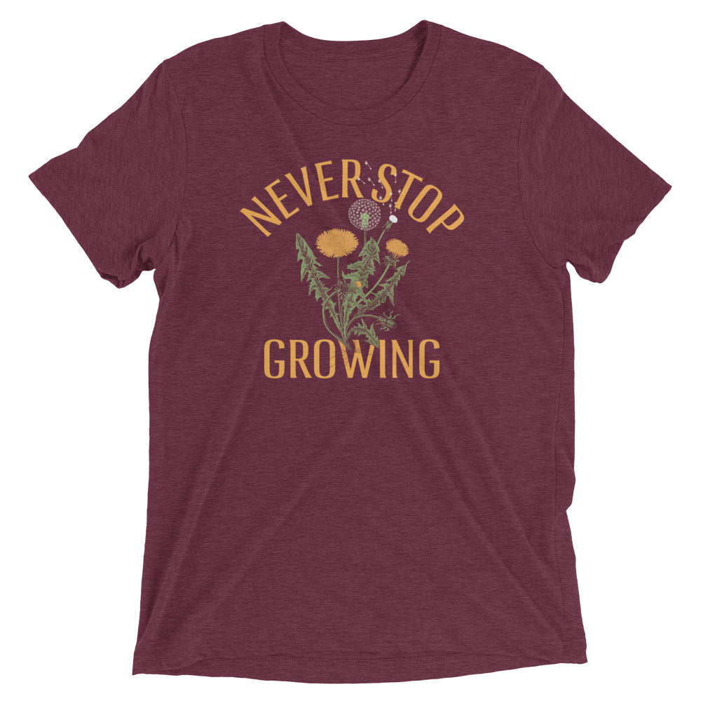 Never Stop Growing Men's Tri-Blend Tee Hoodie, Sweatshirt | PureTeeCo.com (Image 4)