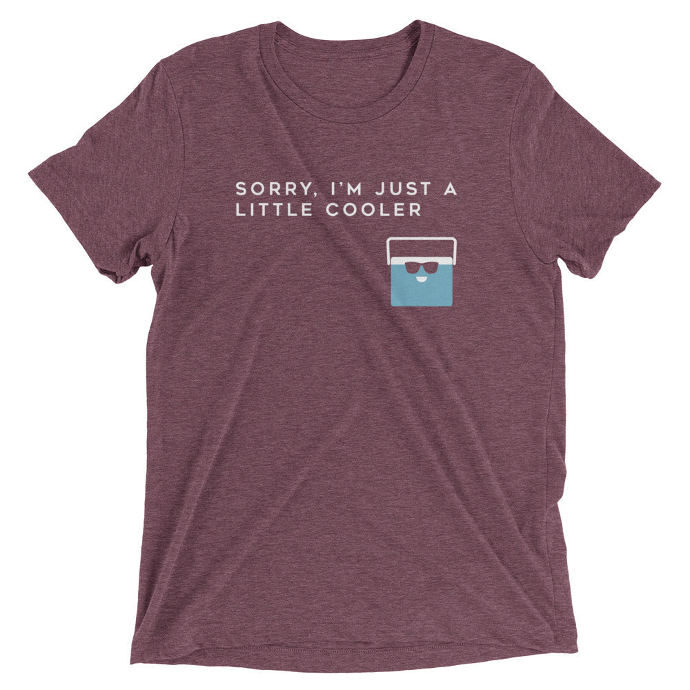 Sorry, I'm Just A Little Cooler Men's Tri-Blend Tee Hoodie, Sweatshirt | PureTeeCo.com (Image 4)