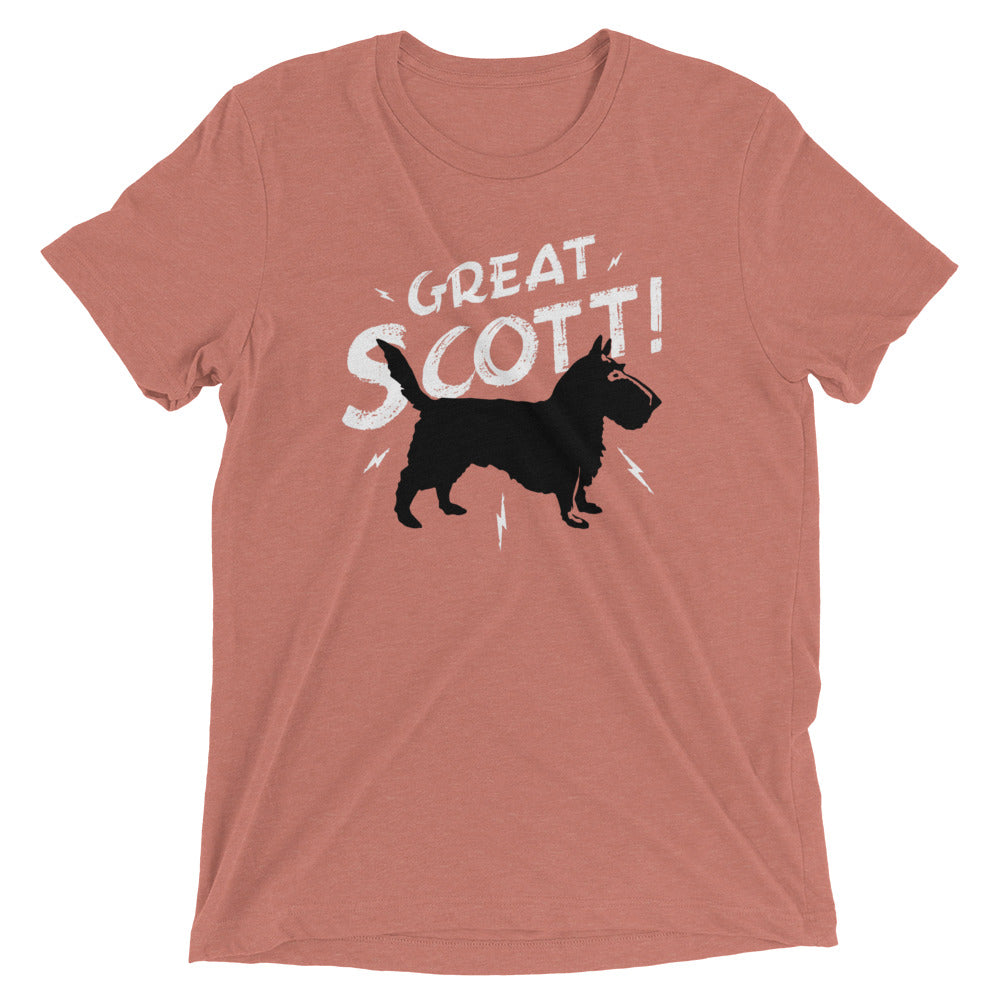 Great Scott! Men's Tri-Blend Tee Hoodie, Sweatshirt | PureTeeCo.com (Image 5)