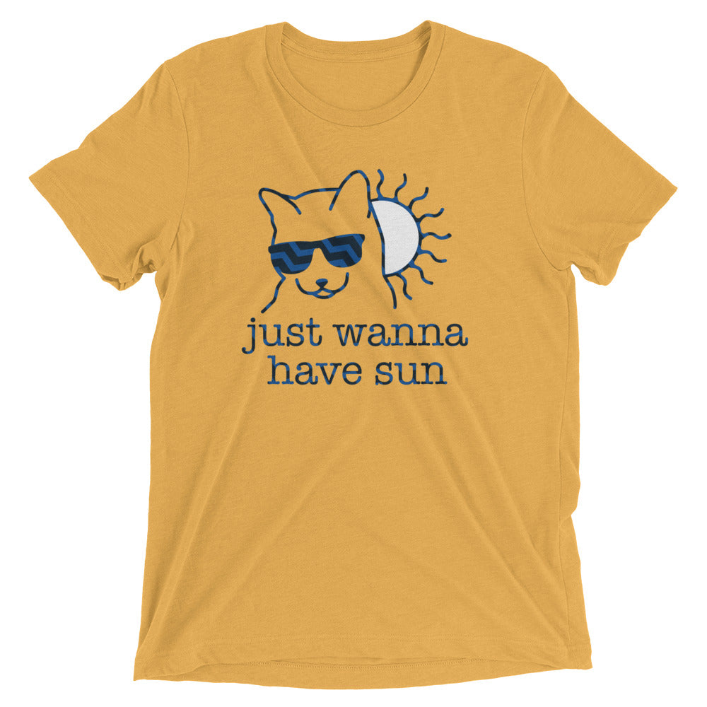 Just Wanna Have Sun Men's Tri-Blend Tee Hoodie, Sweatshirt | PureTeeCo.com (Image 2)
