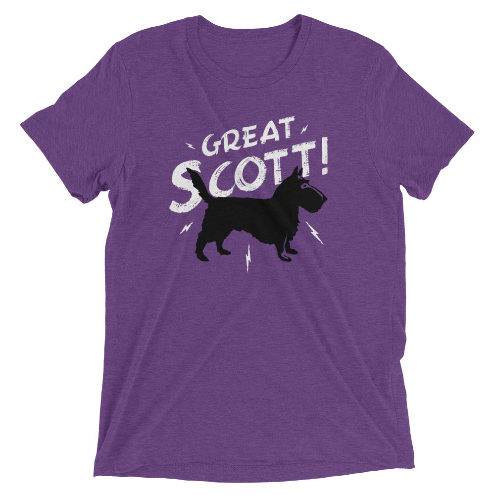 Great Scott! Men's Tri-Blend Tee Hoodie, Sweatshirt | PureTeeCo.com (Image 2)