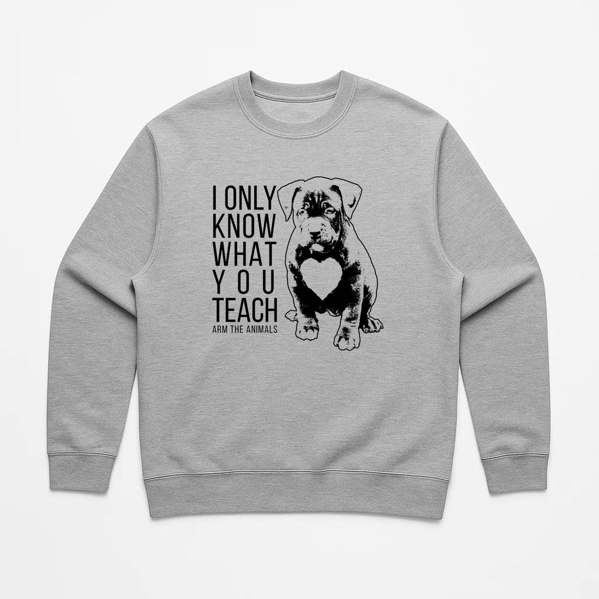 Unisex | What You Teach | Crewneck Sweatshirt
