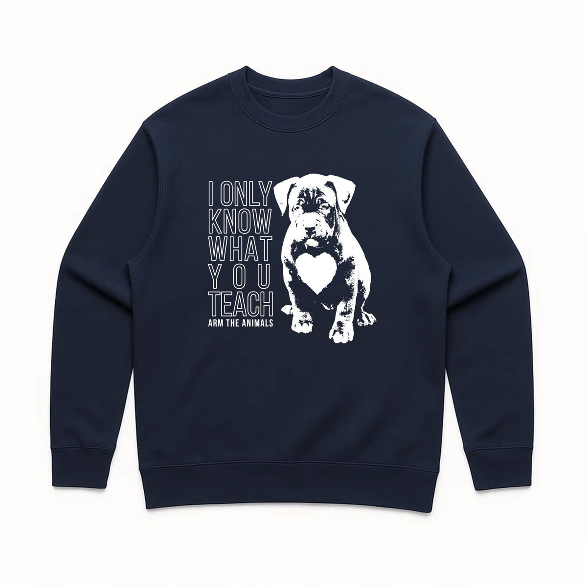 Unisex | What You Teach | Crewneck Sweatshirt