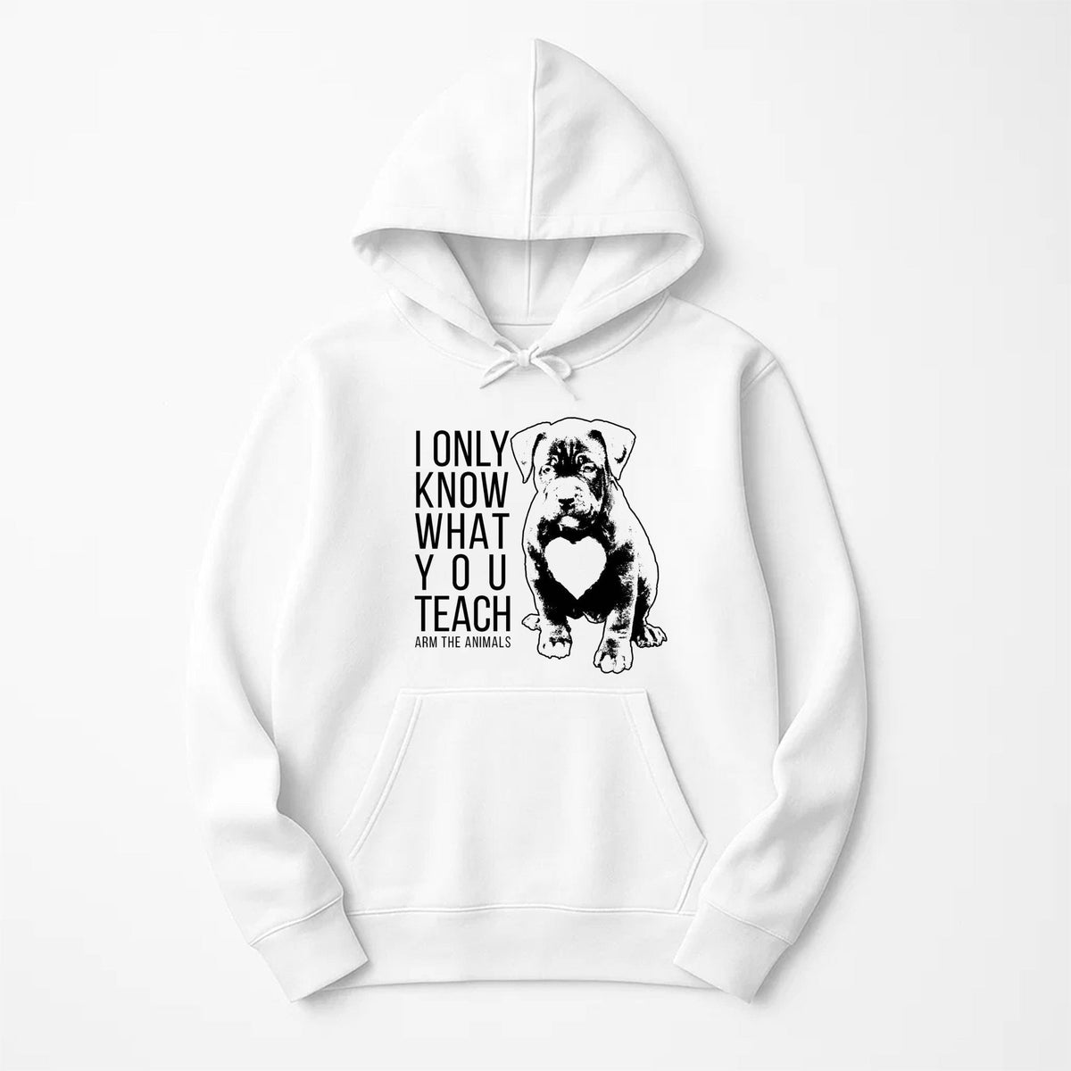 Unisex | What You Teach | Pullover Hoodie