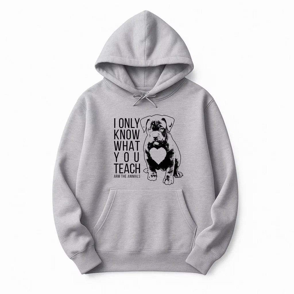 Unisex | What You Teach | Pullover Hoodie