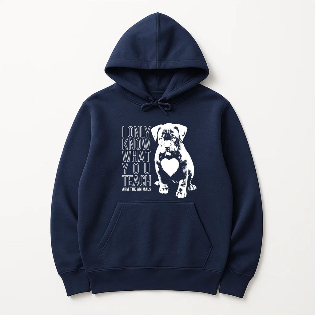 Unisex | What You Teach | Pullover Hoodie