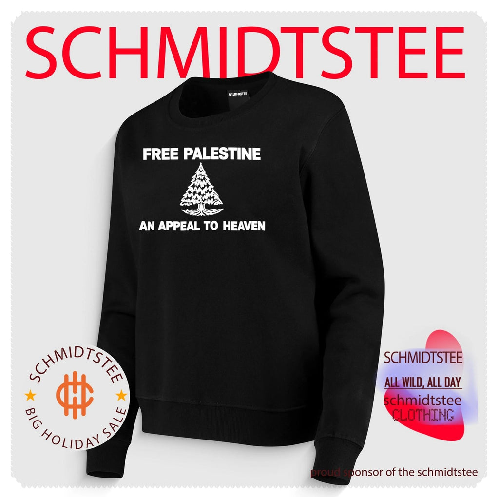 Zach Bryan Gillette Stadium Free Palestine an appeal to heaven shirt