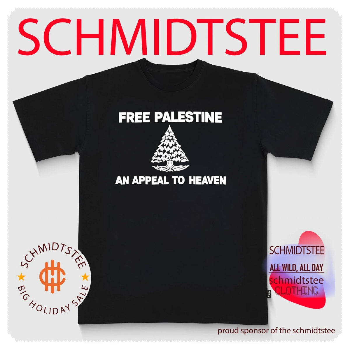 Zach Bryan Gillette Stadium Free Palestine an appeal to heaven shirt