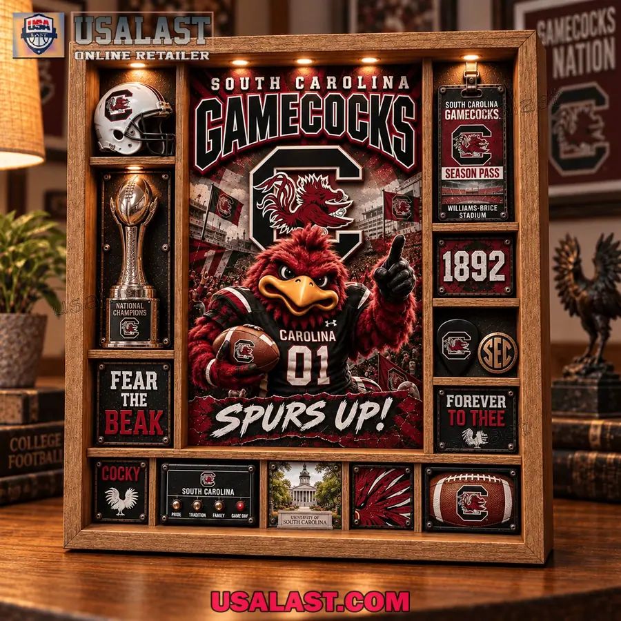 South Carolina Gamecocks Custom Frame Light Box