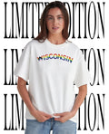 Wisconsin Progress Pride flag shirt