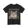 Rage Is Consuming Me Silly Staring Cat Meme T-Shirt