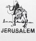 Zendaya Jerusalem shirt