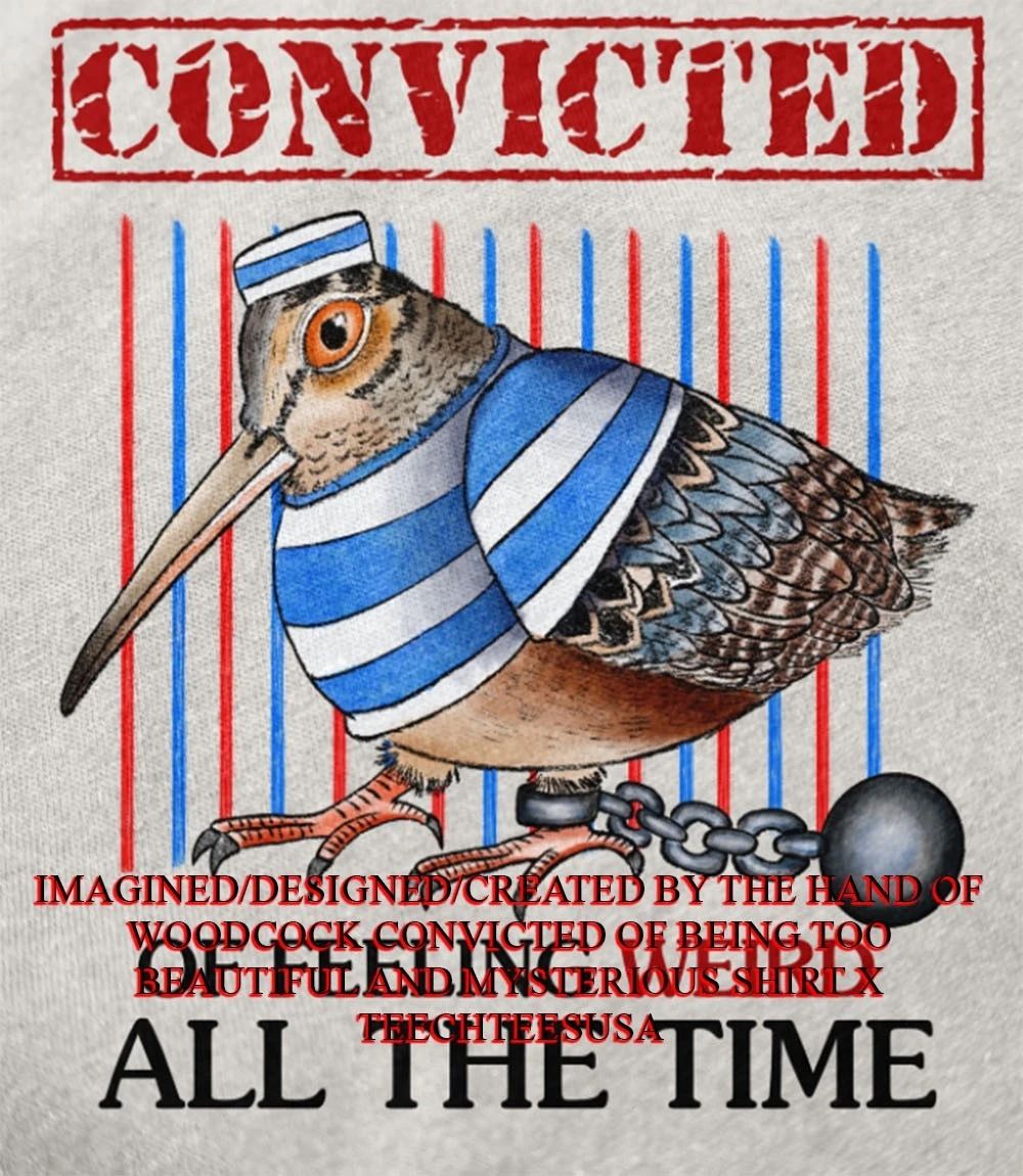 Woodcock convicted of feeling weird all the time shirt