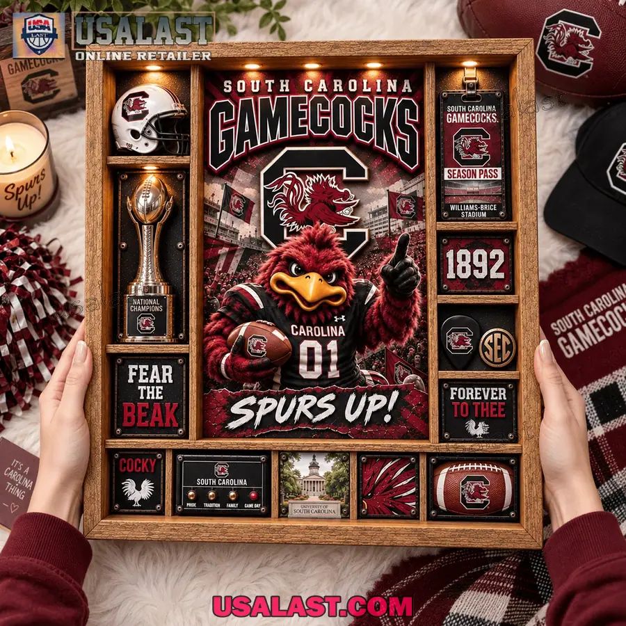 South Carolina Gamecocks Custom Frame Light Box