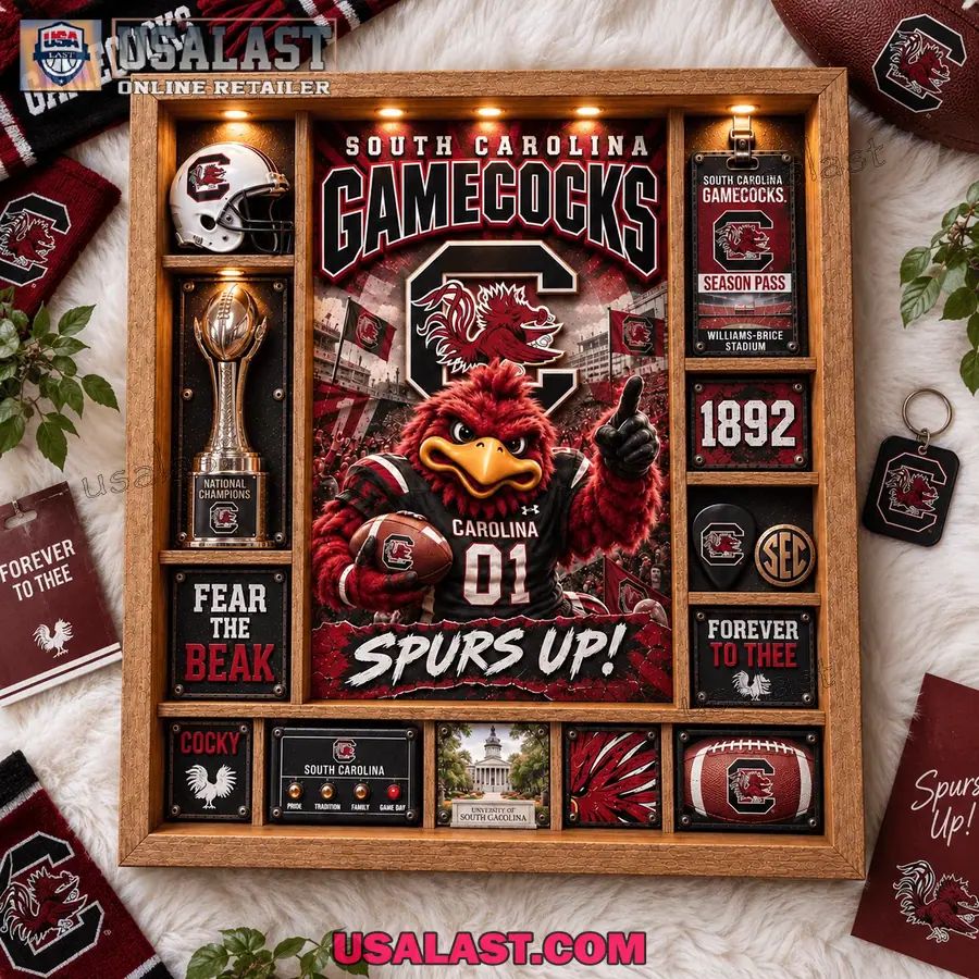 South Carolina Gamecocks Custom Frame Light Box