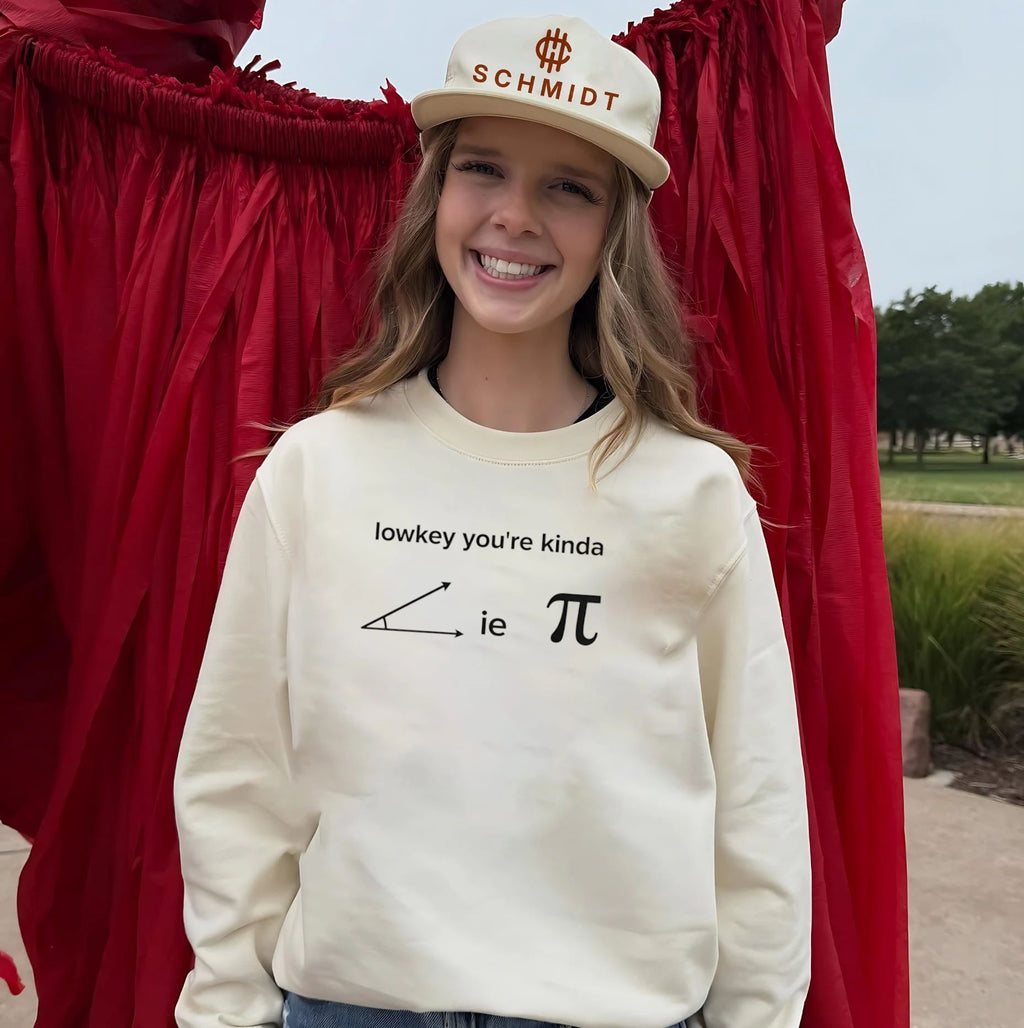 Lowkey You Are Kinda Acute Pie math pun shirt