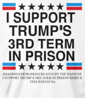 I support Trump’s 3rd term in prison shirt