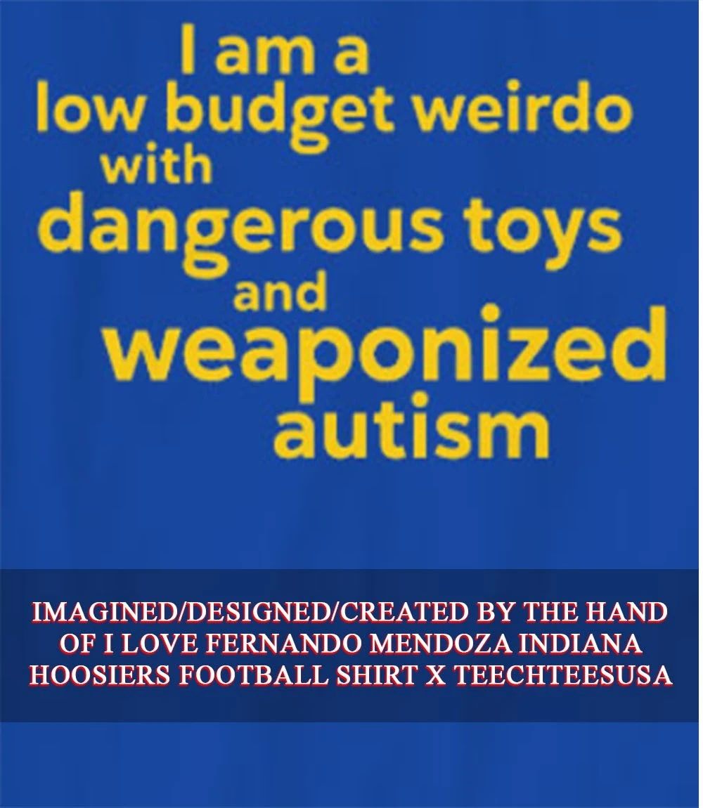 I am a low budget weirdo with dangerous toys shirt