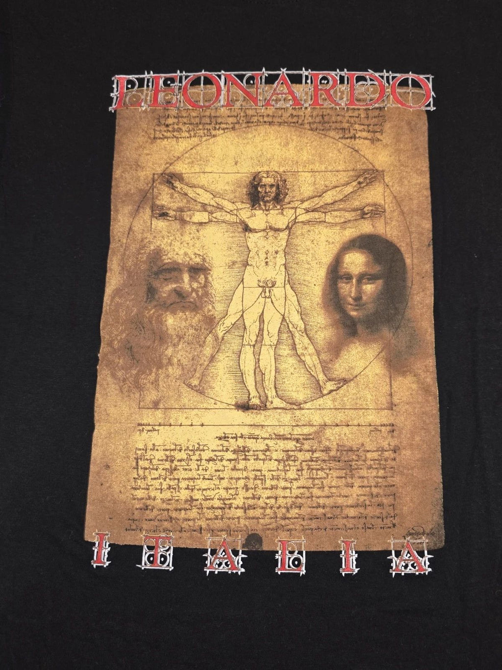 Leonardo Da Vinci Vitruvian Men's Graphic T-Shirt Black Size Small