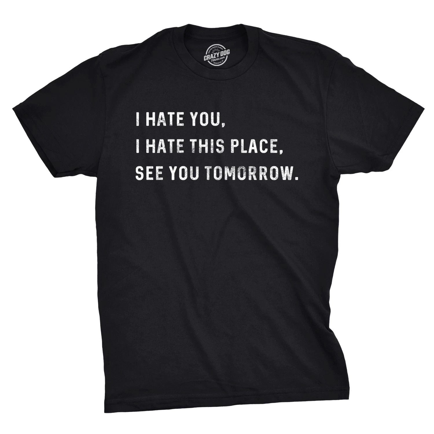 Mens I Hate You I Hate This Place See You Tomorrow T Shirt Funny Sarcastic Tee