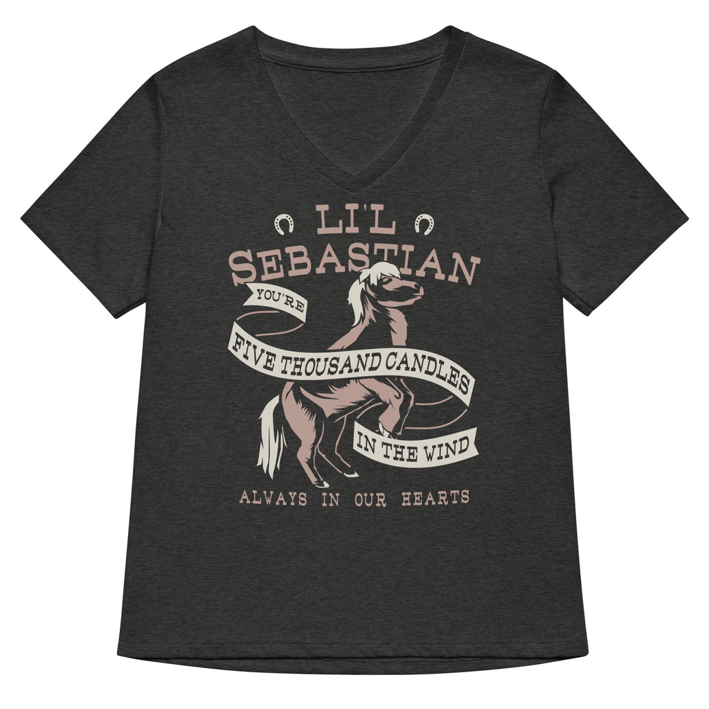 Li'l Sebastian Women's V-Neck Tee Hoodie, Sweatshirt | PureTeeCo.com (Image 3)