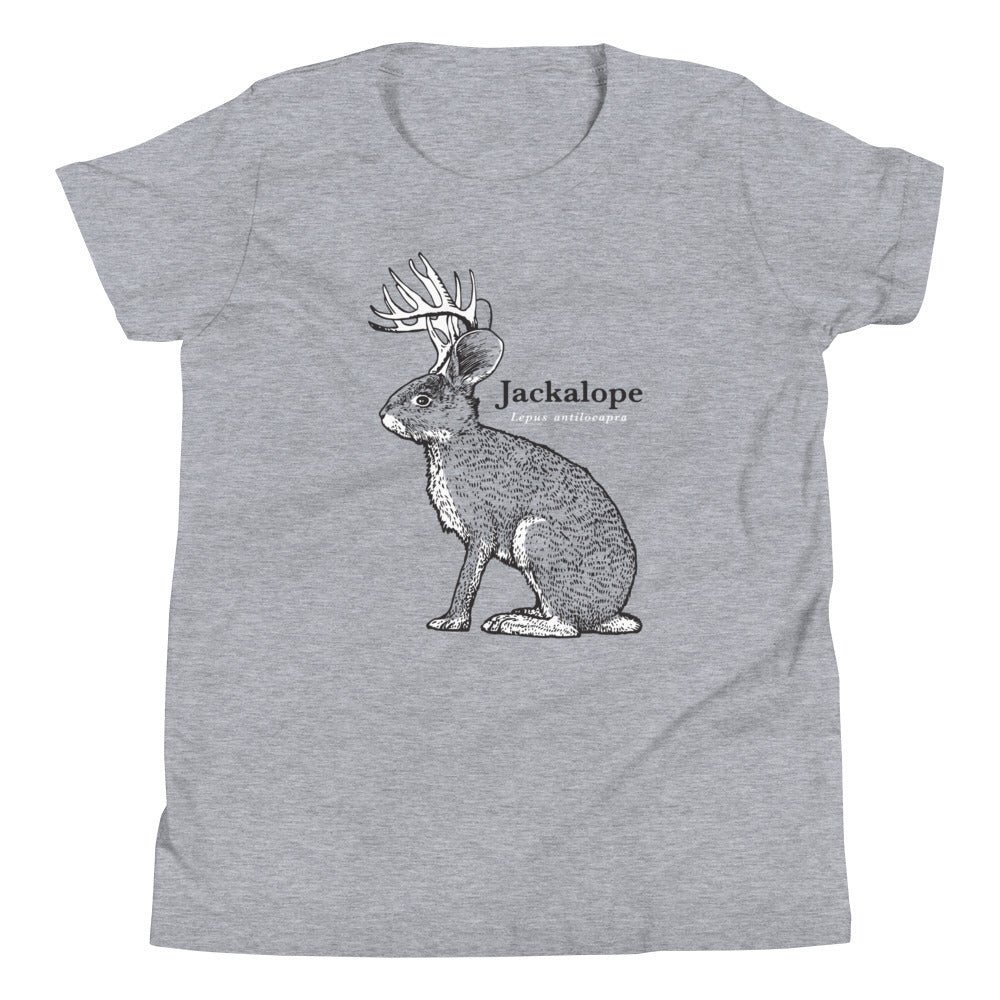 Jackalope Kid's Youth Tee Hoodie, Sweatshirt | PureTeeCo.com
