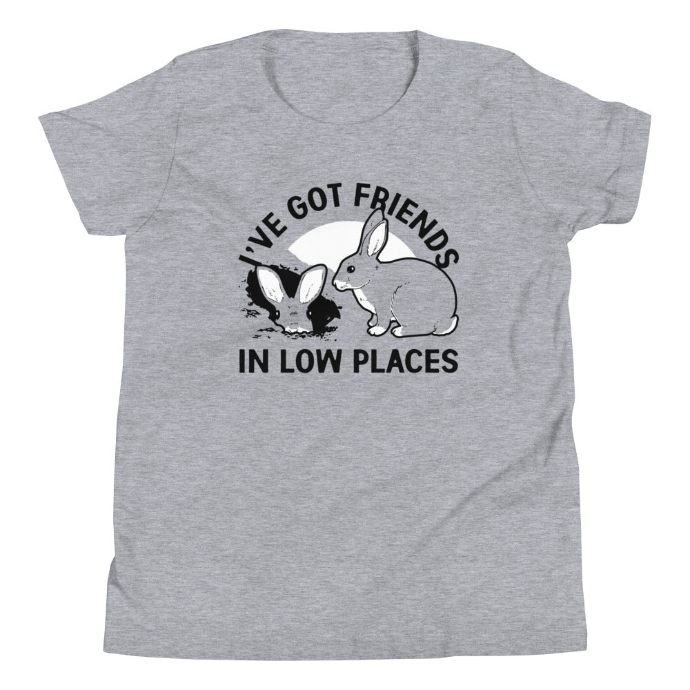 I've Got Friends In Low Places Kid's Youth Tee Hoodie, Sweatshirt | PureTeeCo.com (Image 1)