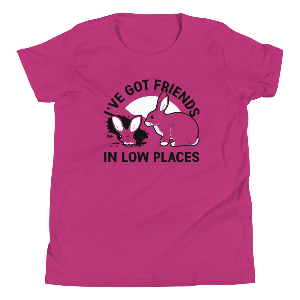I've Got Friends In Low Places Kid's Youth Tee Hoodie, Sweatshirt | PureTeeCo.com (Image 2)