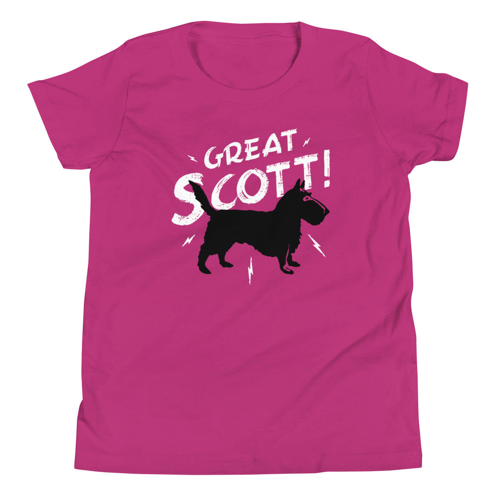 Great Scott! Kid's Youth Tee Hoodie, Sweatshirt | PureTeeCo.com (Image 2)