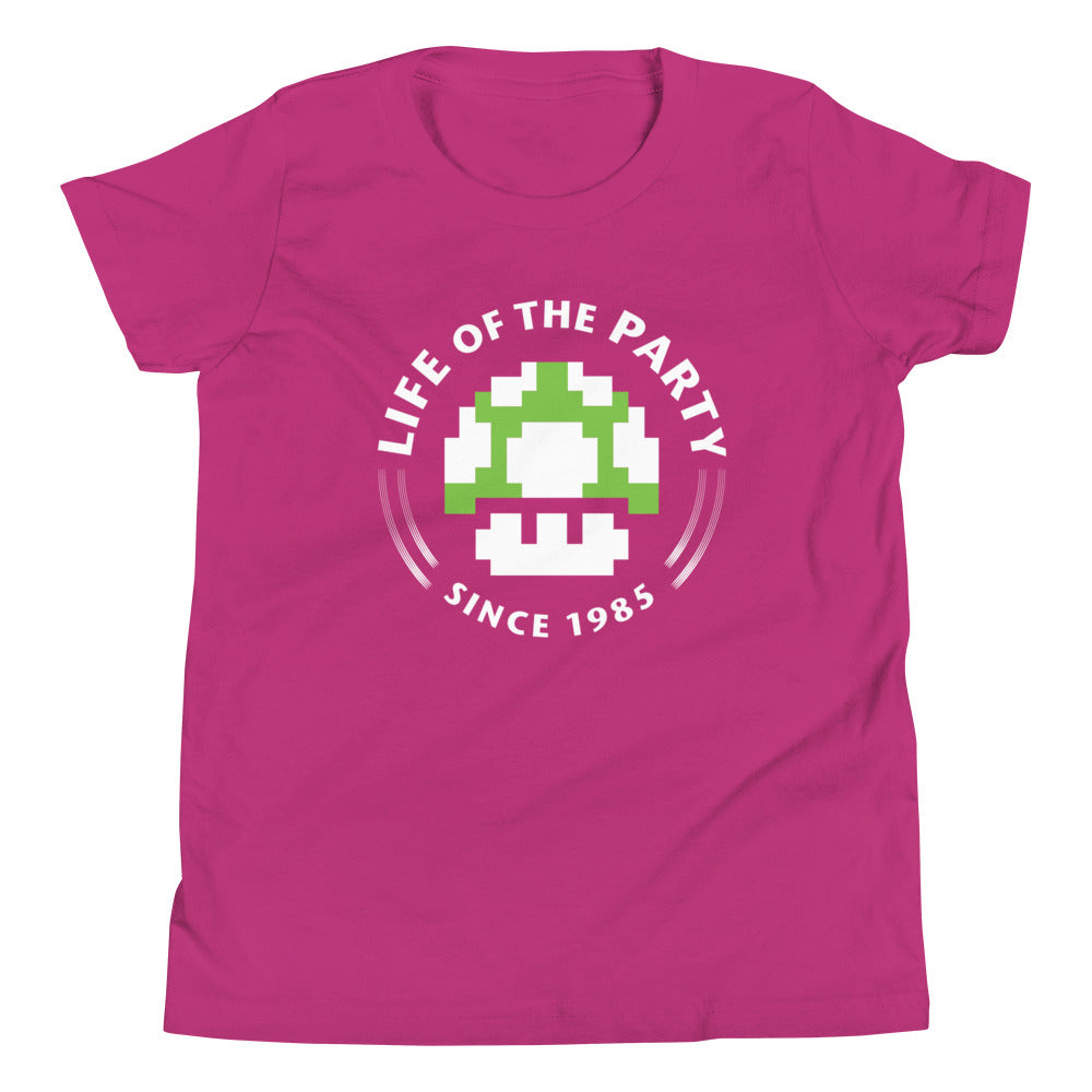 Life Of The Party Kid's Youth Tee Hoodie, Sweatshirt | PureTeeCo.com (Image 4)
