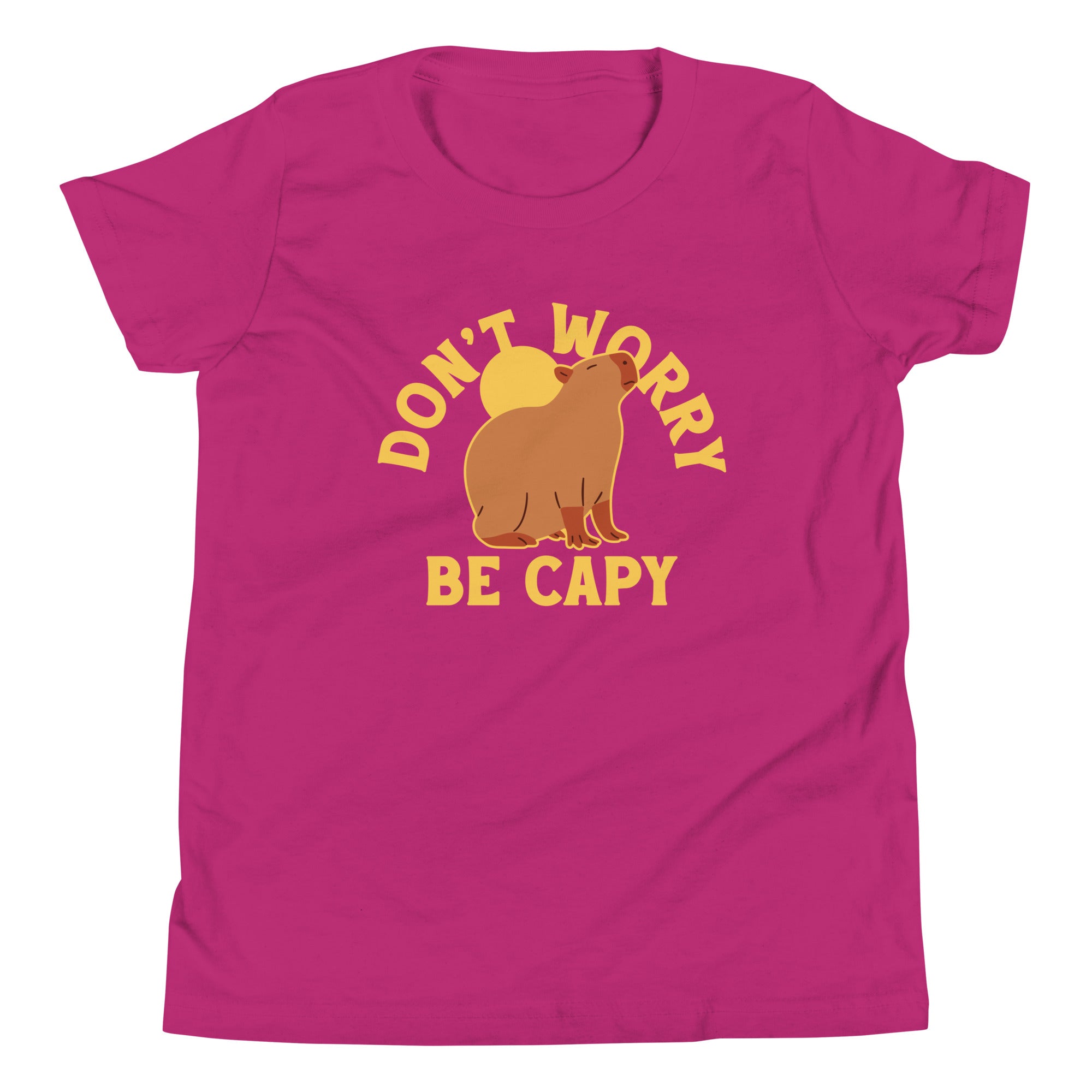 Don't Worry Be Capy Kid's Youth Tee Hoodie, Sweatshirt | PureTeeCo.com (Image 5)