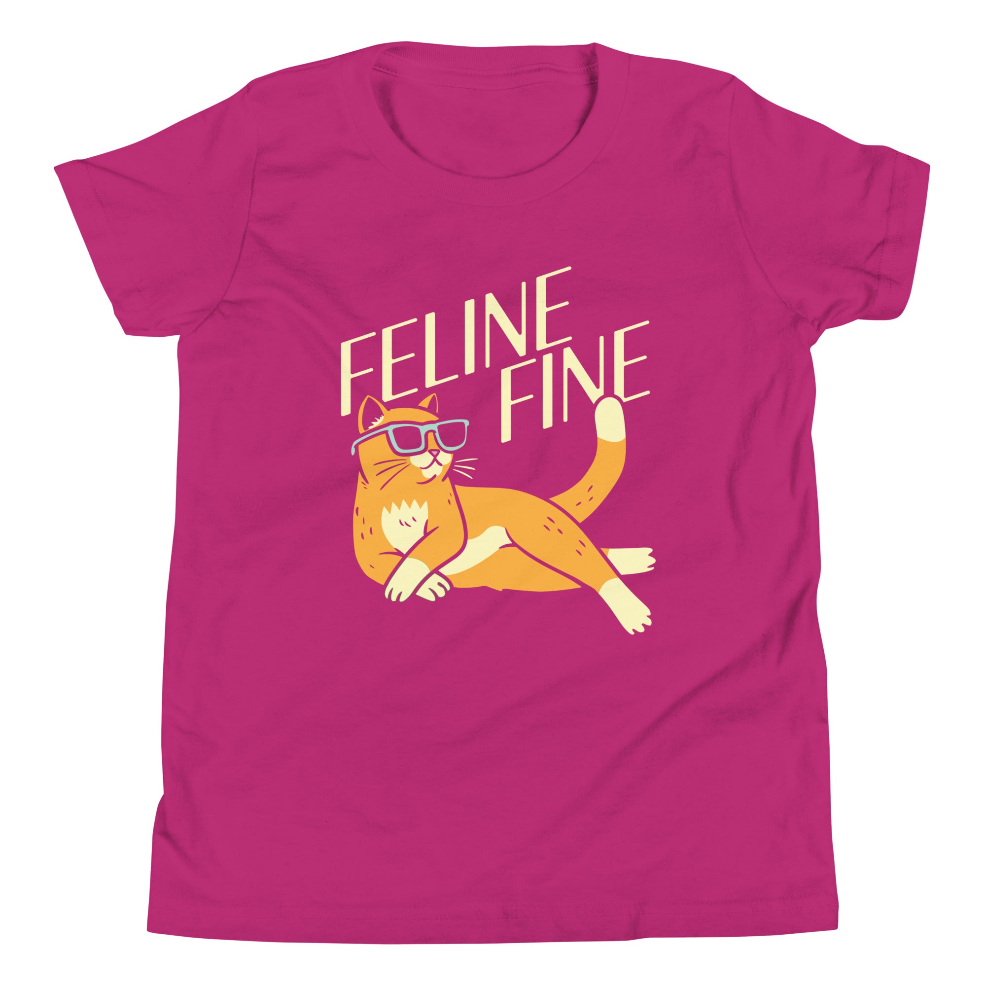 Feline Fine Kid's Youth Tee Hoodie, Sweatshirt | PureTeeCo.com (Image 5)