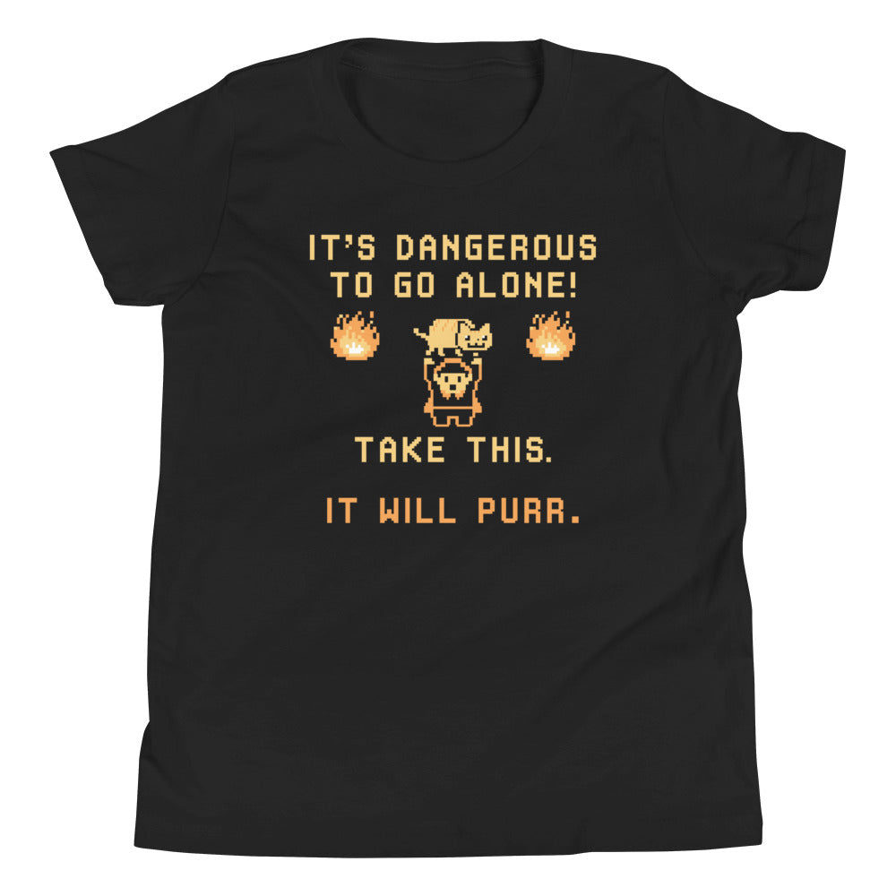 It's Dangerous To Go Alone Kid's Youth Tee Hoodie, Sweatshirt | PureTeeCo.com (Image 2)