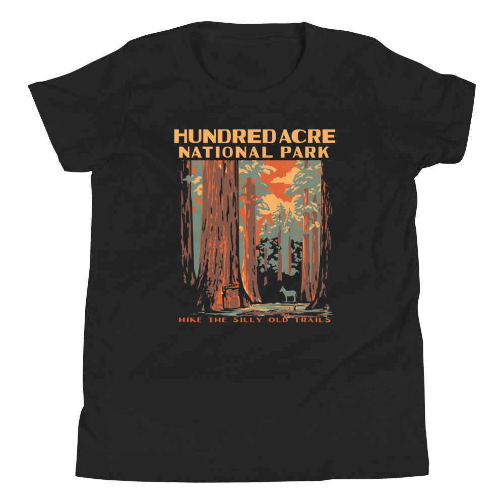 Hundred Acre National Park Kid's Youth Tee Hoodie, Sweatshirt | PureTeeCo.com (Image 2)
